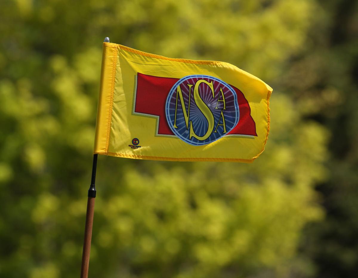 NSAA Golf