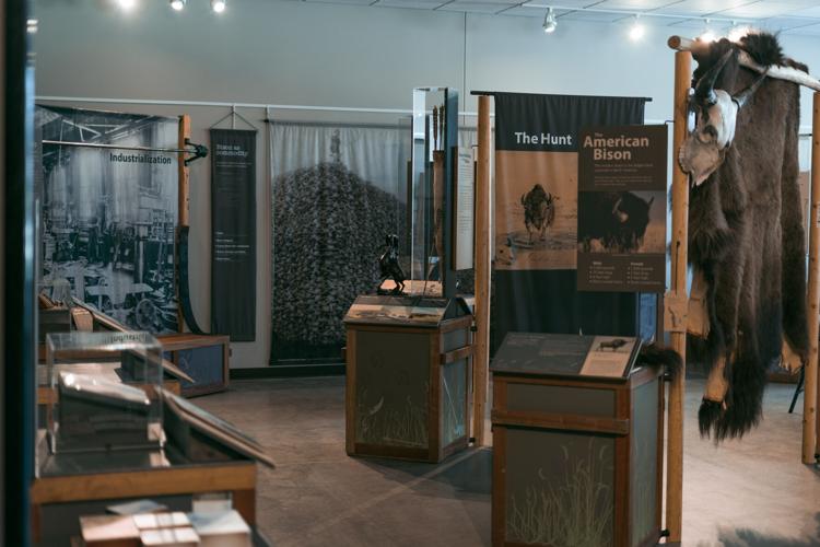 View of the exhibit