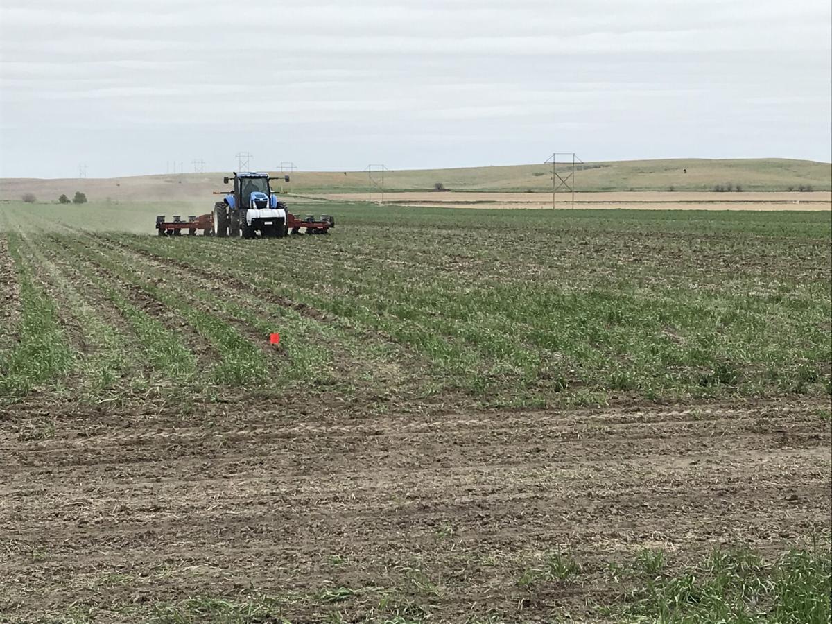 In Nebraska, crop producers and educators partner up on field research projects