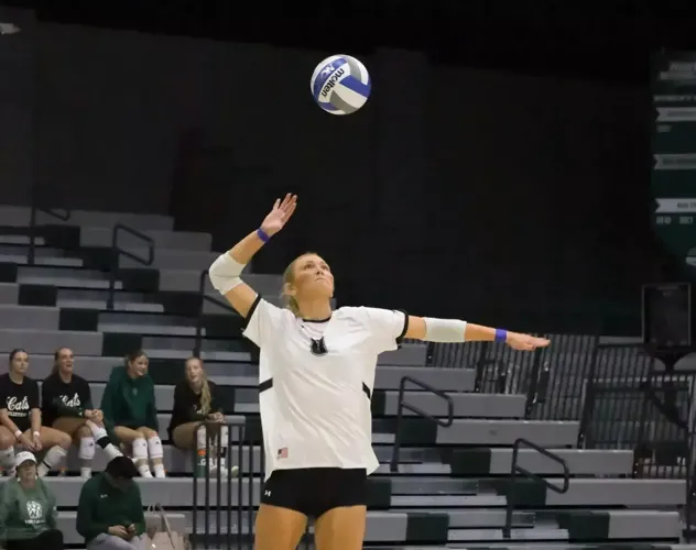 Streak Ends at 21 as #18 Hornets Win in Four in Maryville