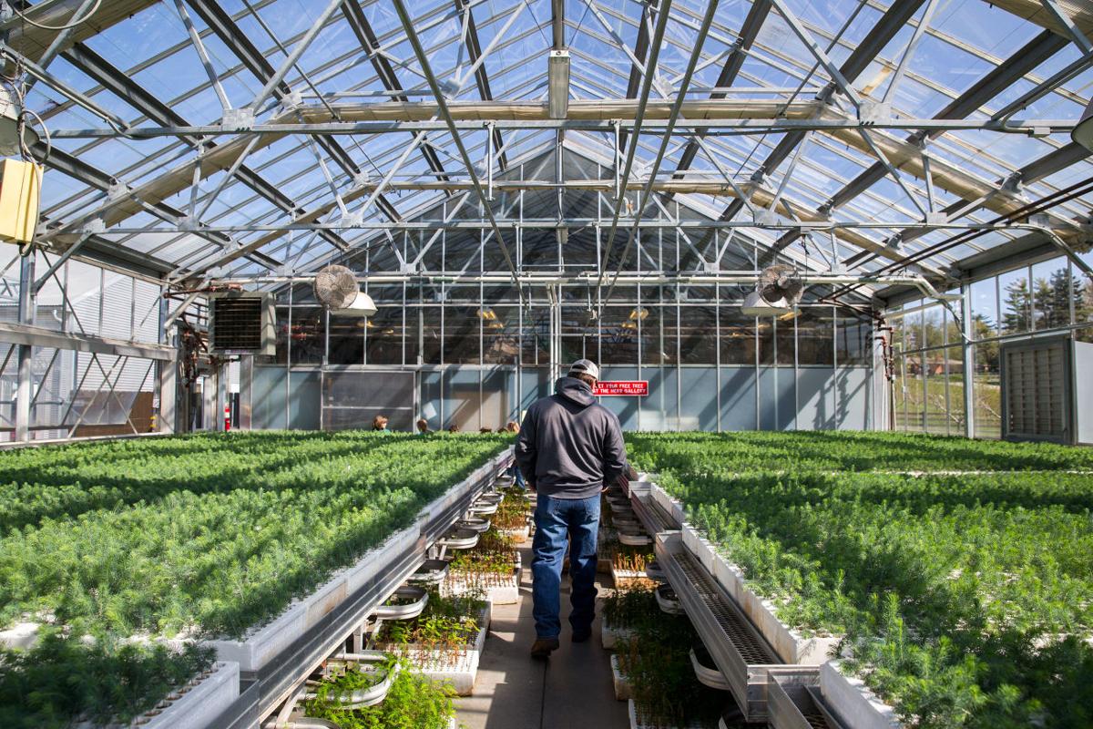 Tree foundation works to meet Earth Day, Arbor Day demands