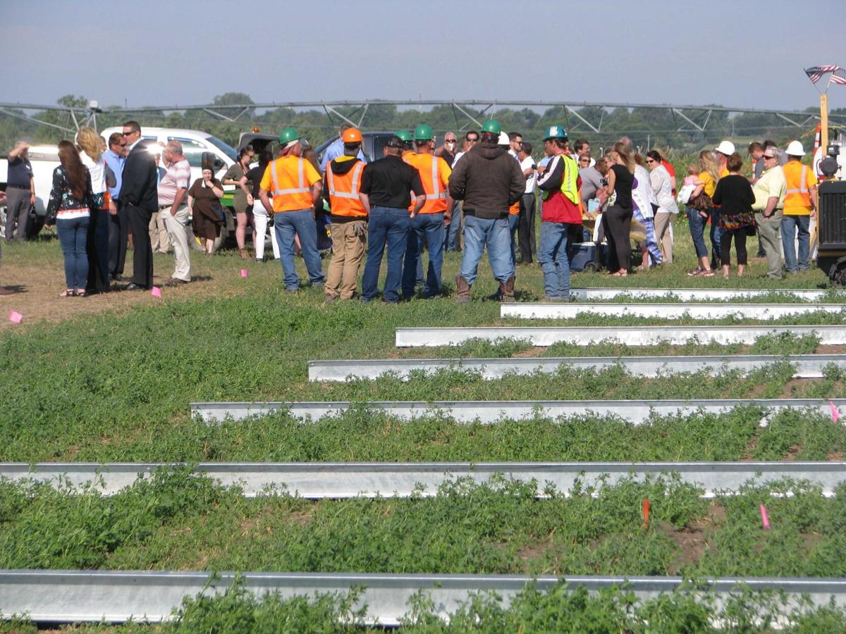 Solar farm