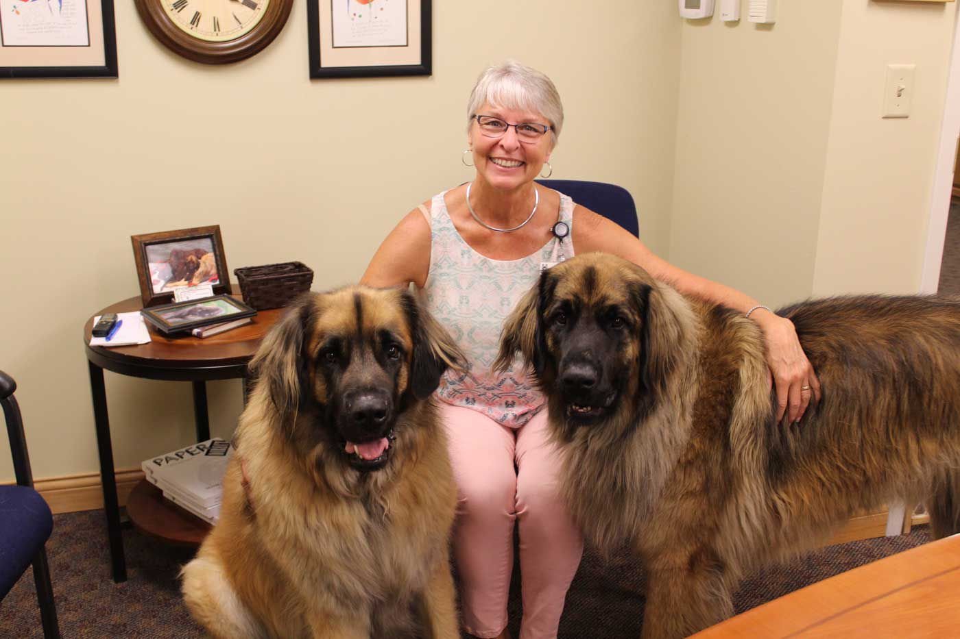 Therapy dogs in nursing hot sale homes