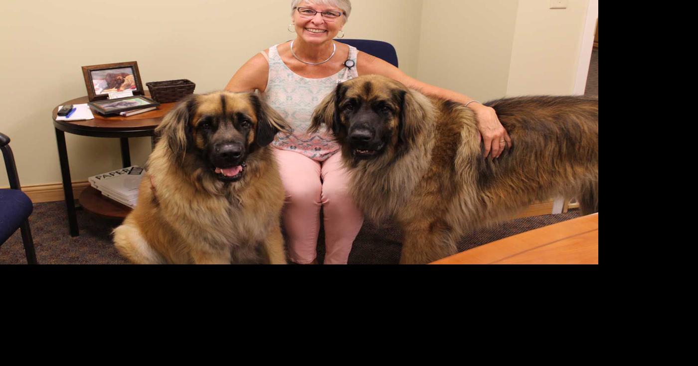Reiner shares therapy dogs with nursing home residents