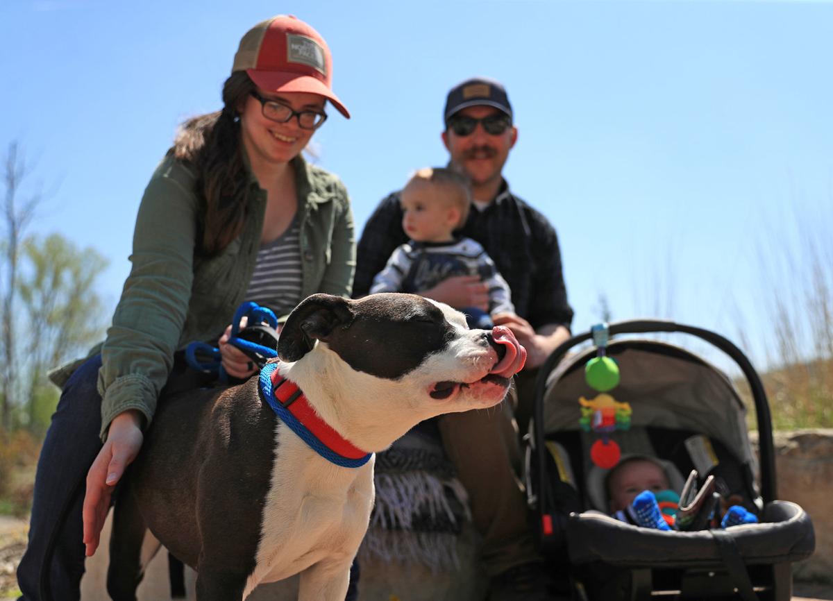 A dog, found in Council Bluffs, was reunited with her family 2 years