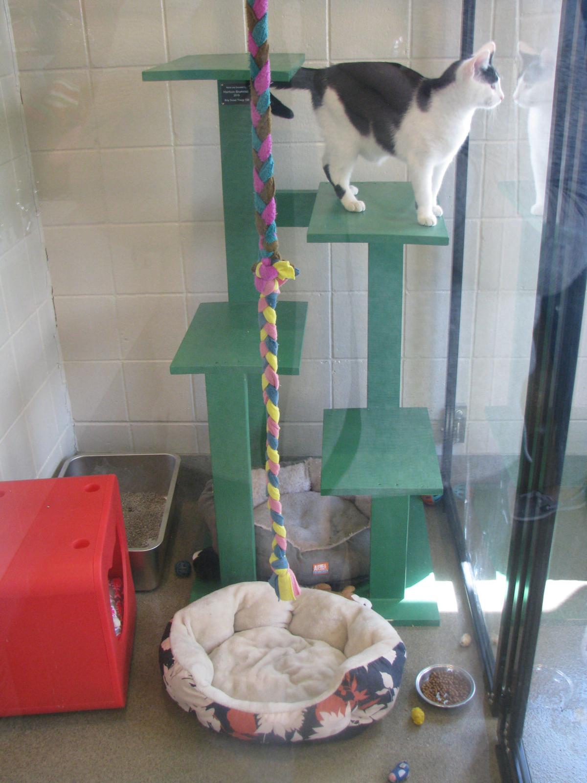 Kearney Animal Shelter