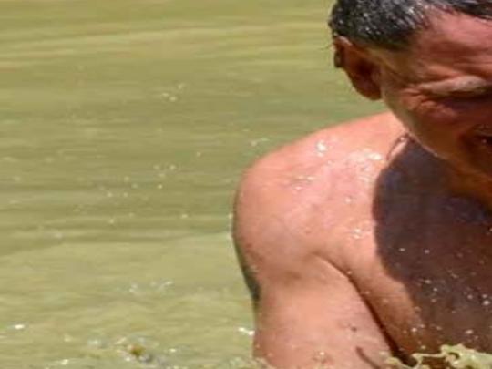 Wildman Other Man Vs Critter Shows Attract Big Audiences Archive Kearneyhub Com