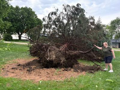 Exploding Tree Risk Nebraska Trees topple in Kearney neighborhoods hit by strong winds