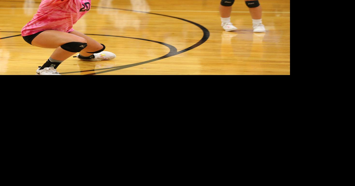 Photos; WilcoxHildreth vs Bertrand volleyball