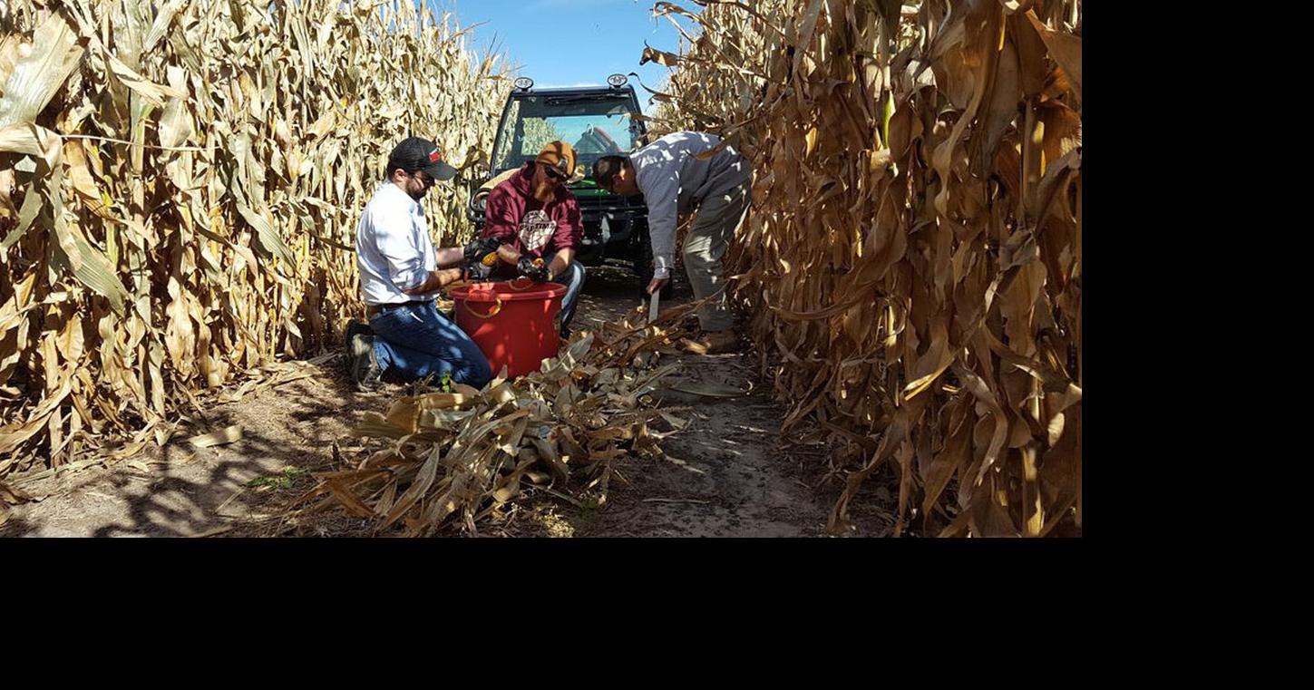 Reinke Manufacturing names Holdrege Irrigation as top dealership in US