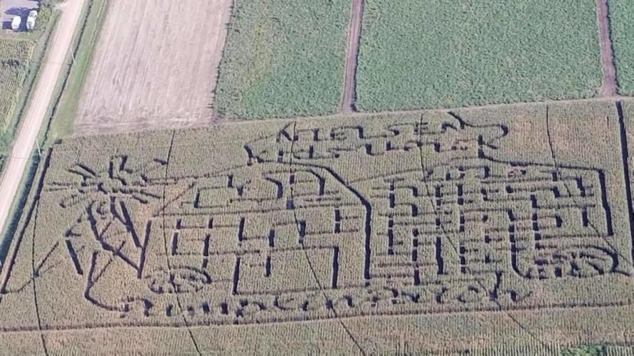 6 pumpkin patches close to Kearney to visit this fall | Local ...