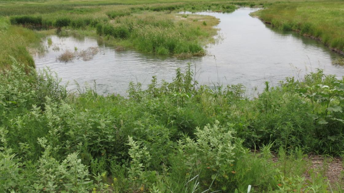 Wet 2019 reflected in fall Tri-Basin NRD groundwater levels higher than in spring - Kearney Hub