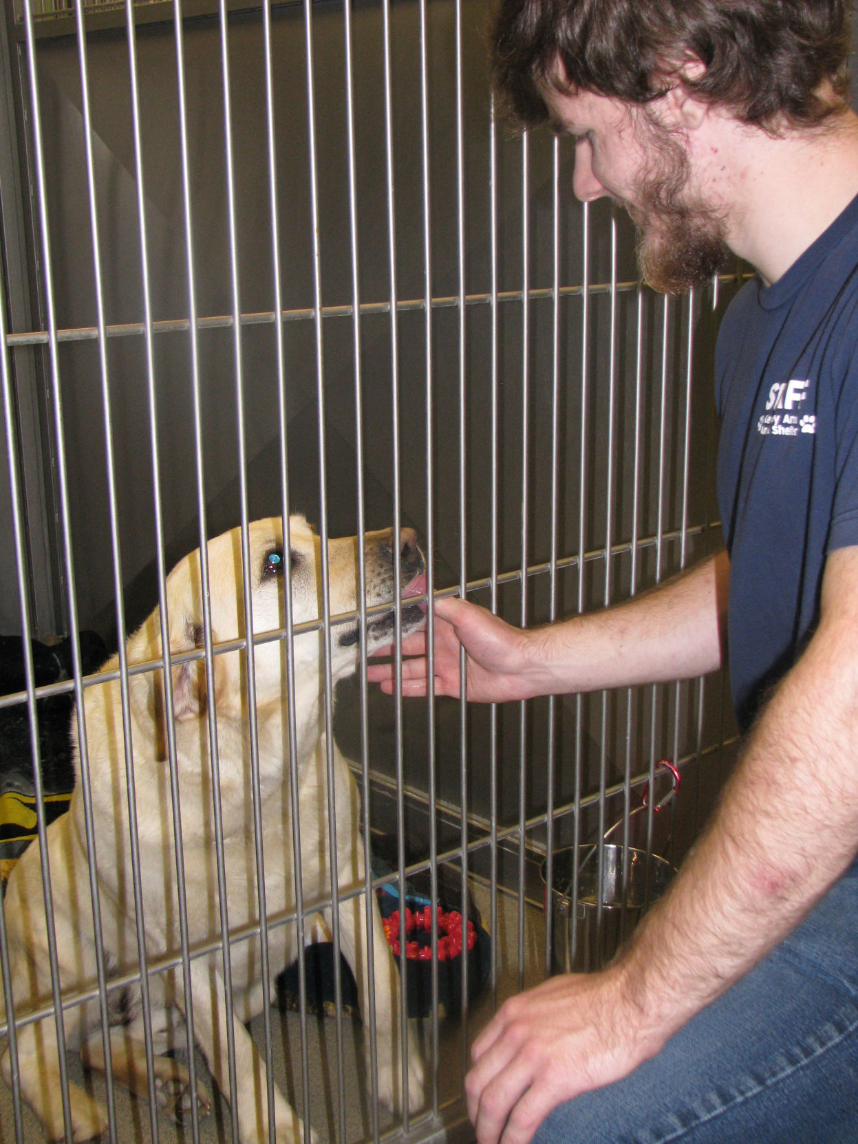 Kearney Animal Shelter