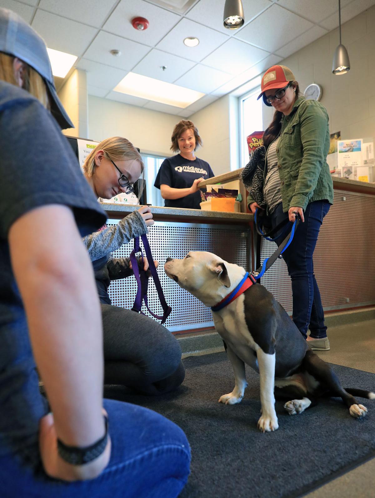 A dog, found in Council Bluffs, was reunited with her family 2 years