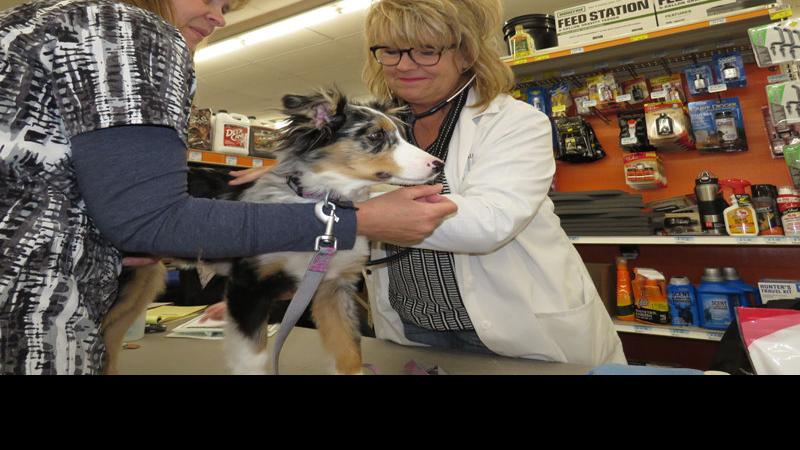 Riverside Animal Hospital Offering Pop Up Vaccination Clinic At