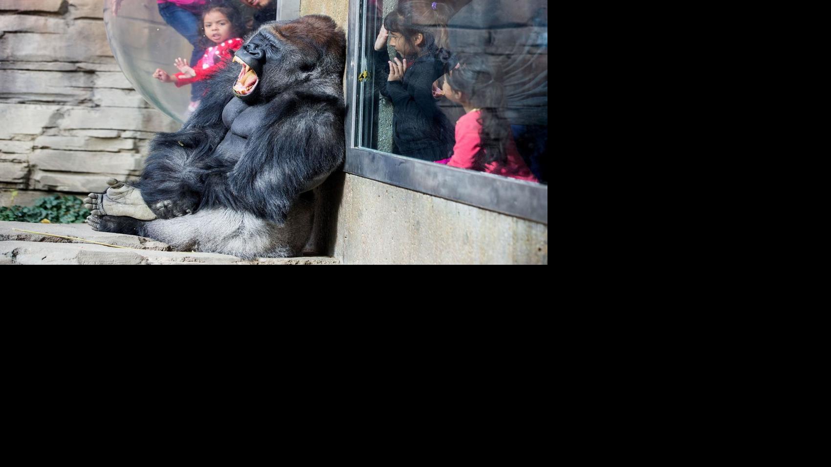 The Henry Doorly Zoo is offering free admission for kids during the