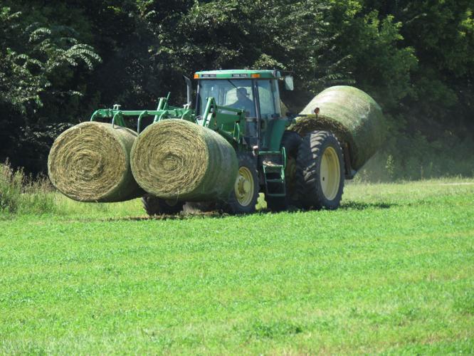 Alfalfa harvest