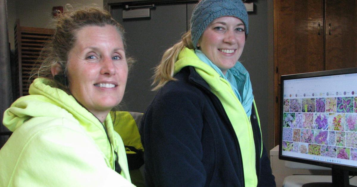 Kearney’s Park and Rec’s new horticulturalists offers tips for spring gardening | Local News Kearney’s Park and Rec’s new horticulturalists offers tips for spring gardening | Local News