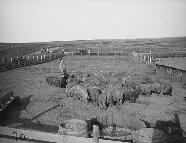 Frontier Fences