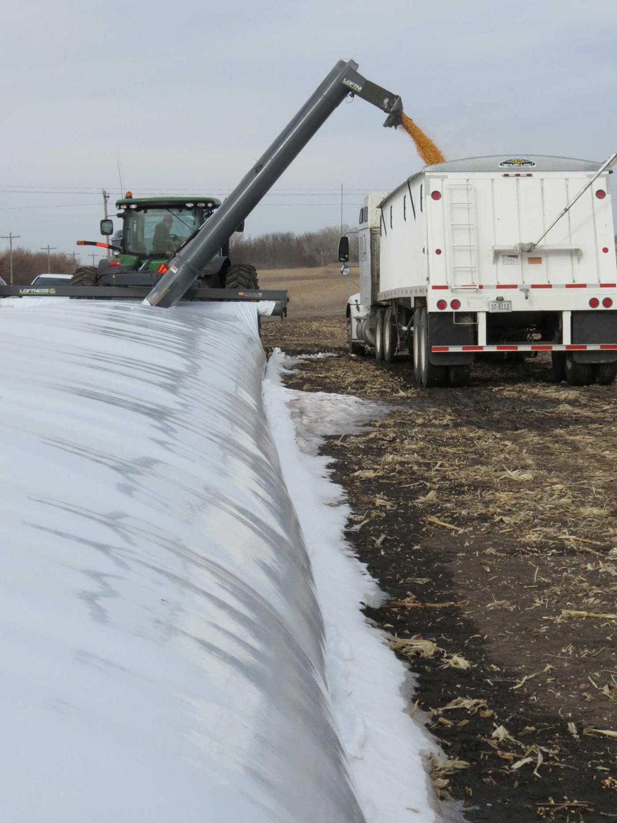 Safe, efficient, fast and easy Thorells buy first crop storage bag