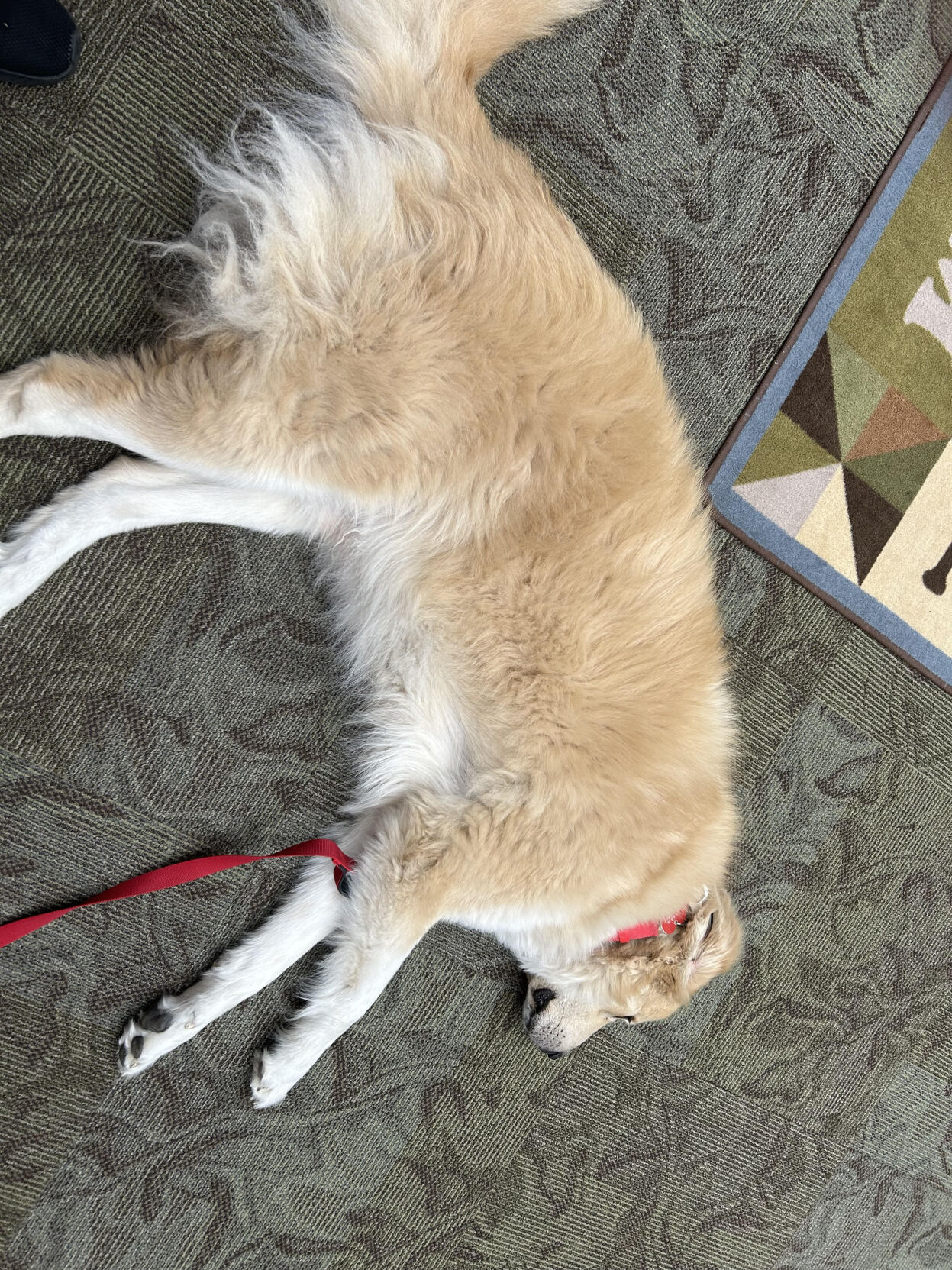 Kearney library holds 