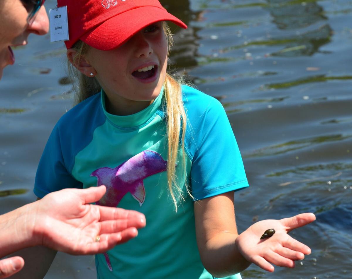 Sign up now for kids summer day camps at Rowe Sanctuary ...
