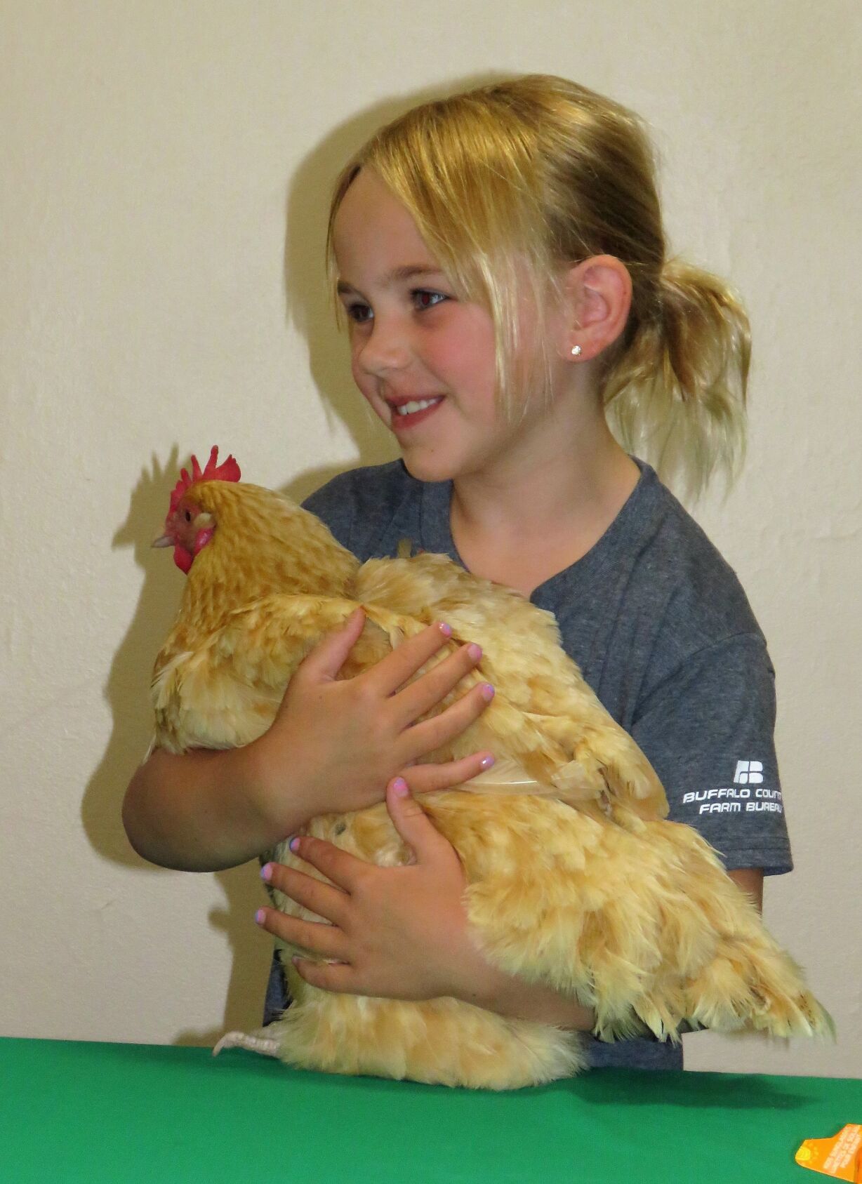 Buffalo County Fair in Kearney a combination of fun, work