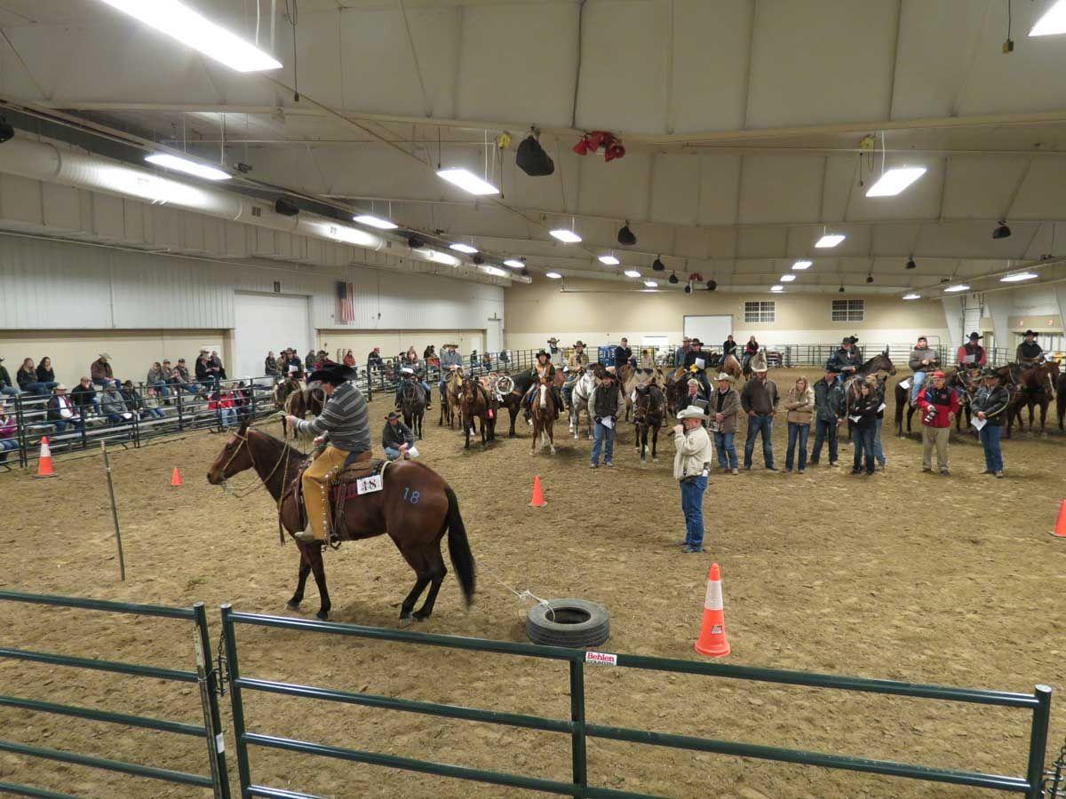 Skills put to test at ranch horse show Local News