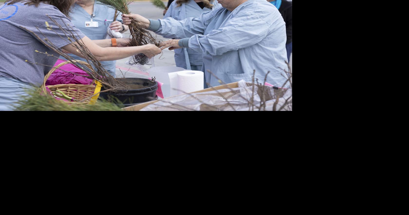 PHOTOS: Good Sam plants 100 trees to celebrate 100 years