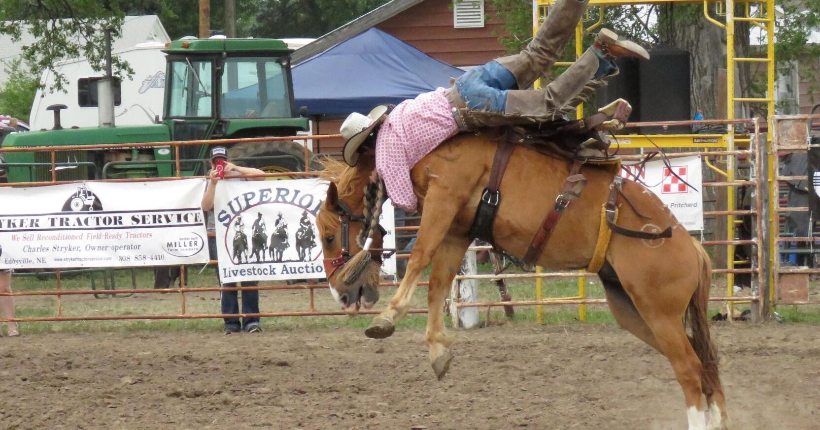 Rigorous roping, riding at Sumner Saddle Club rodeo July 3-4 - Vimarsana News