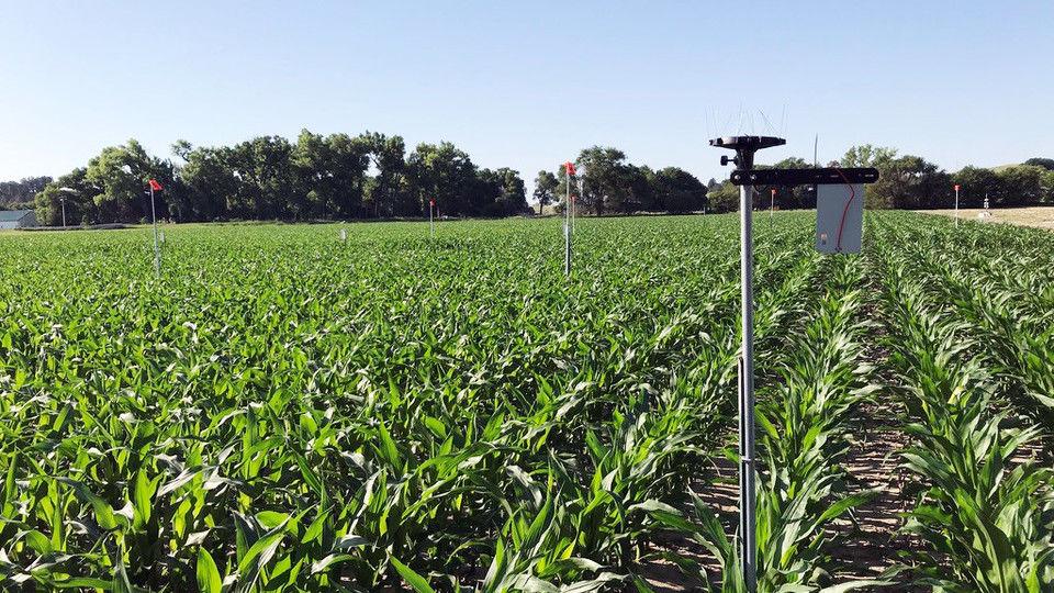 University researchers aiming to help farmers save water - Kearney Hub