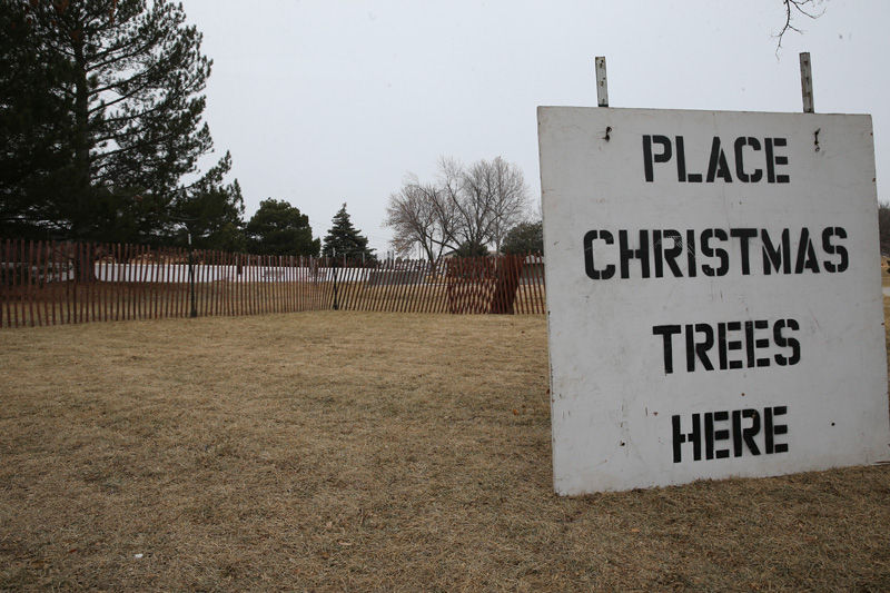 Dropoff sites in Kearney for dried out Christmas tree disposal