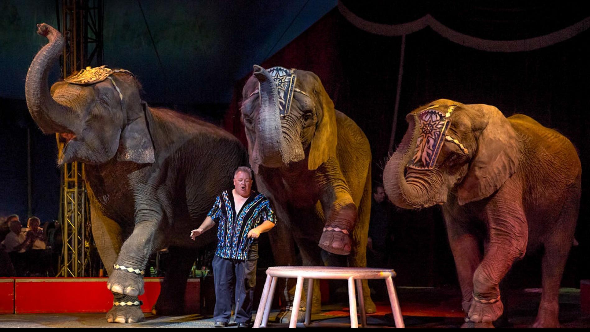 Shrine Circus 2022 Event Calendar