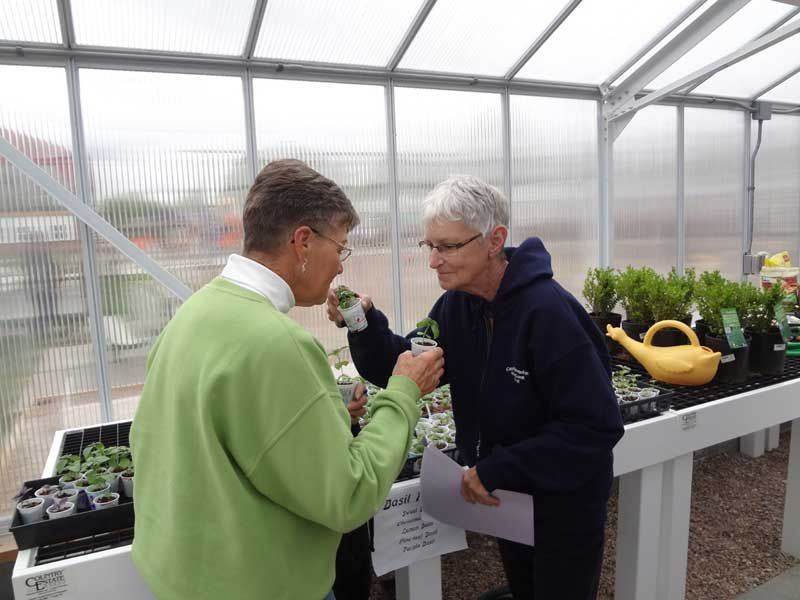 Cozad School opens doors to Haymarket Greenhouse Local News