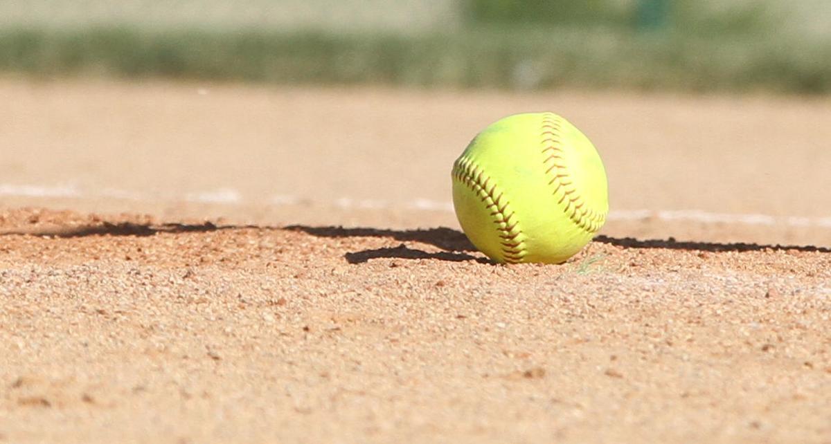Carnes, Wegner to share head coaching duties of Kearney High softball team