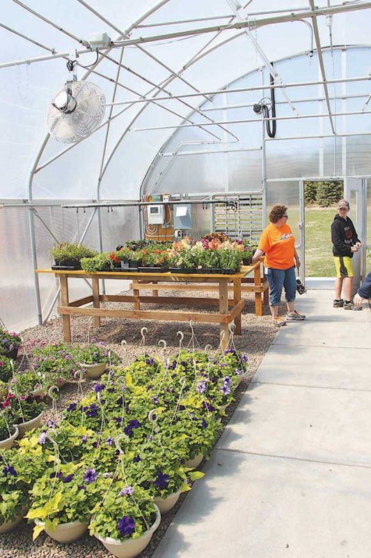 Ravenna FFA students’ greenhouse blooming for business Local News
