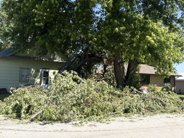 tuesday storm - p3 - fallen branches