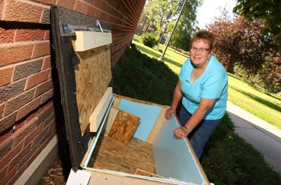 Lopercats Aims To Control Feral Cat Population By Caring For