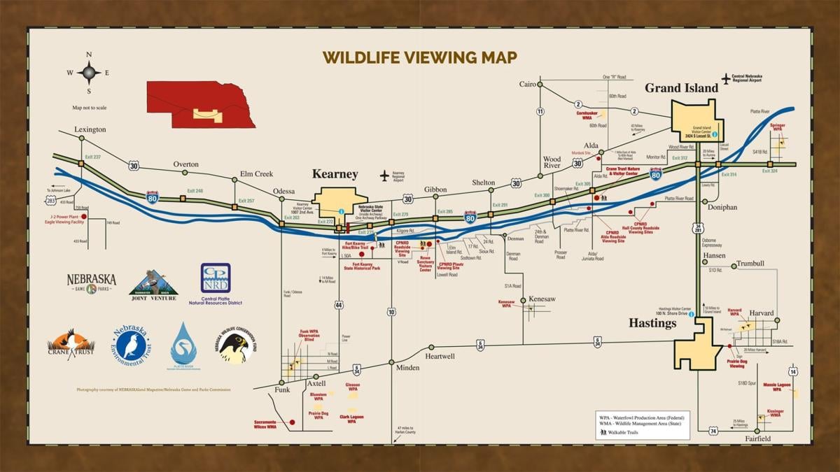The sandhill cranes migration returns to Central Nebraska 'It takes
