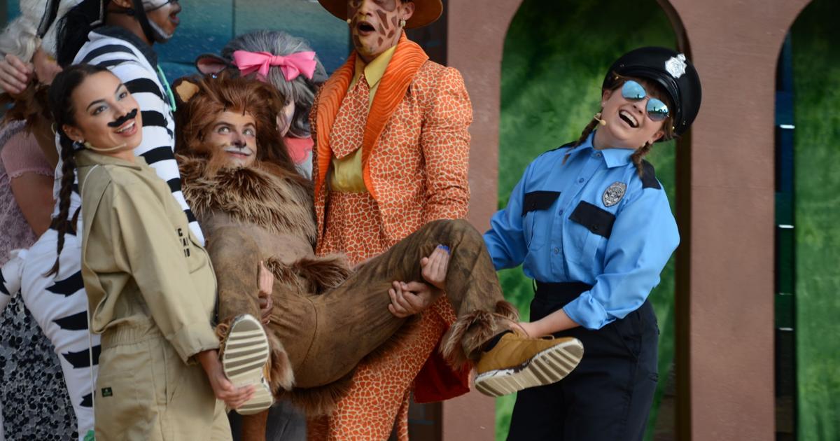 Review: With supportive cast, playful script, 'Madagascar' will talk ...