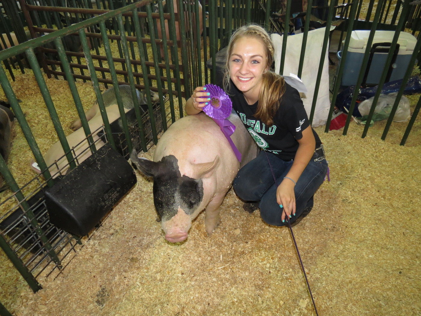 Williams takes grand champion in 4 H Swine Show