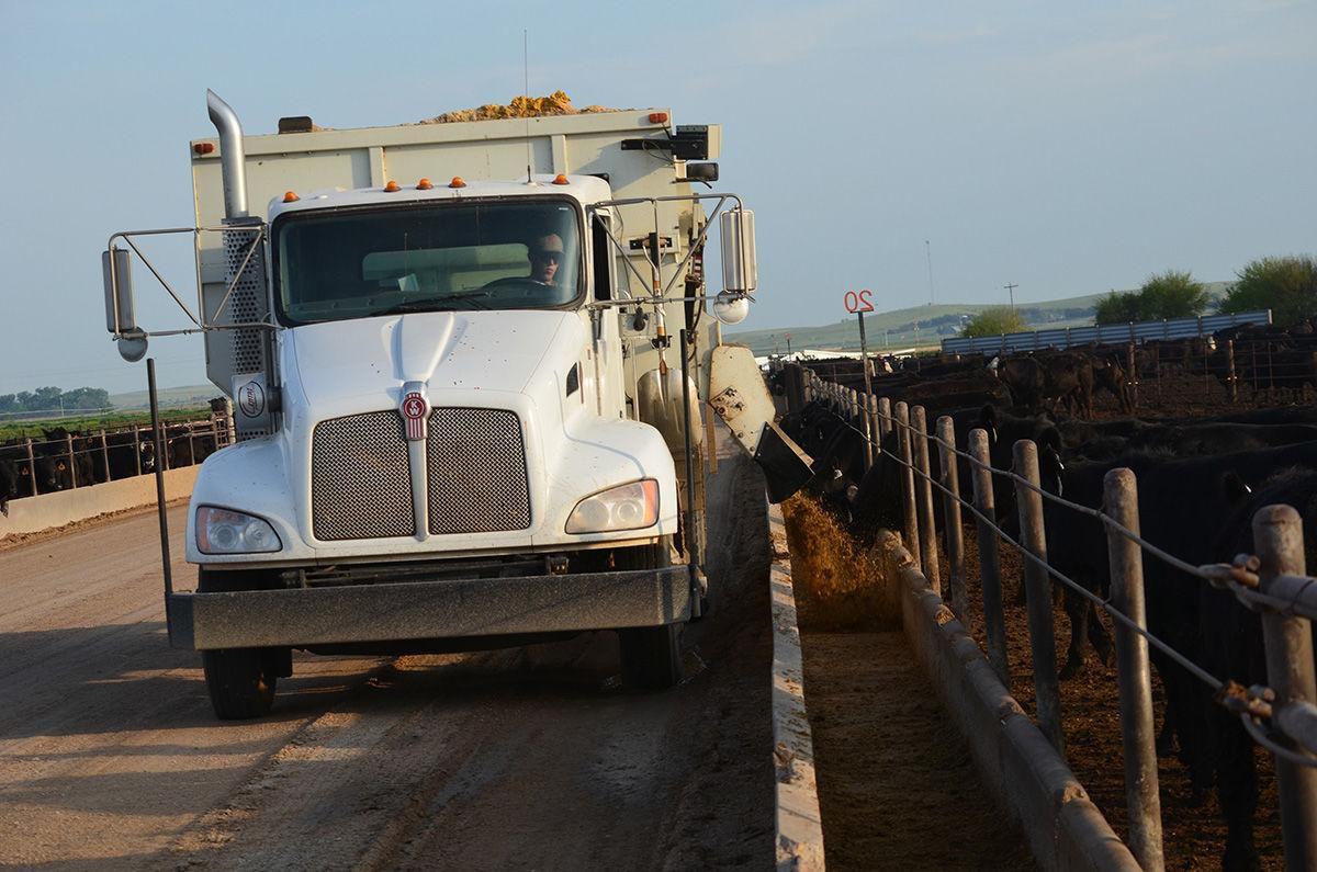 This Lexington family has been feeding cattle for four generations