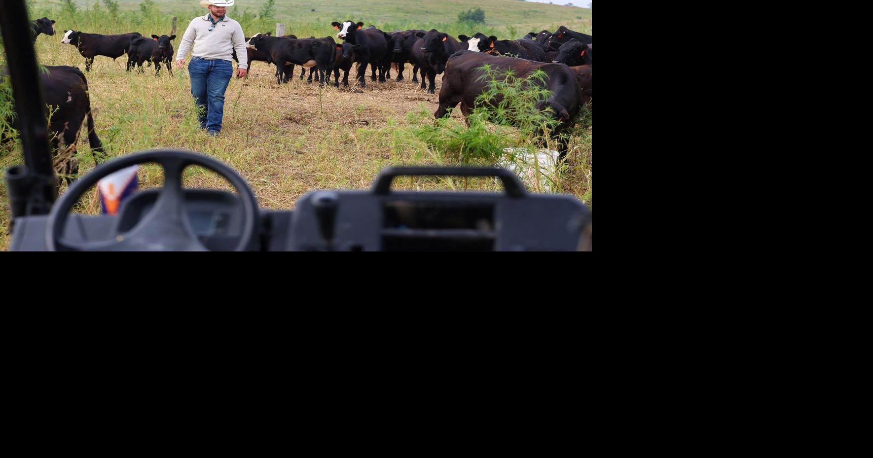 unk-rancher-p1 - cattle call