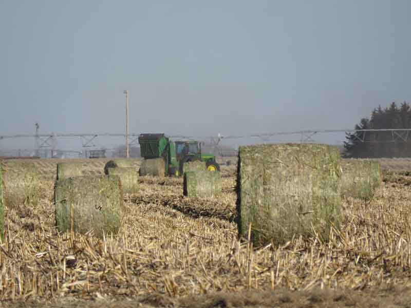 Number of farms in Nebraska down 7 percent, latest Census of