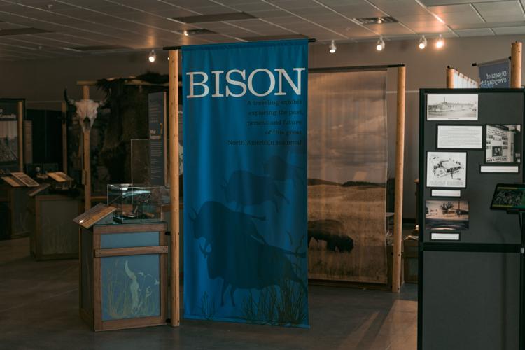 Bison exhibit entrance
