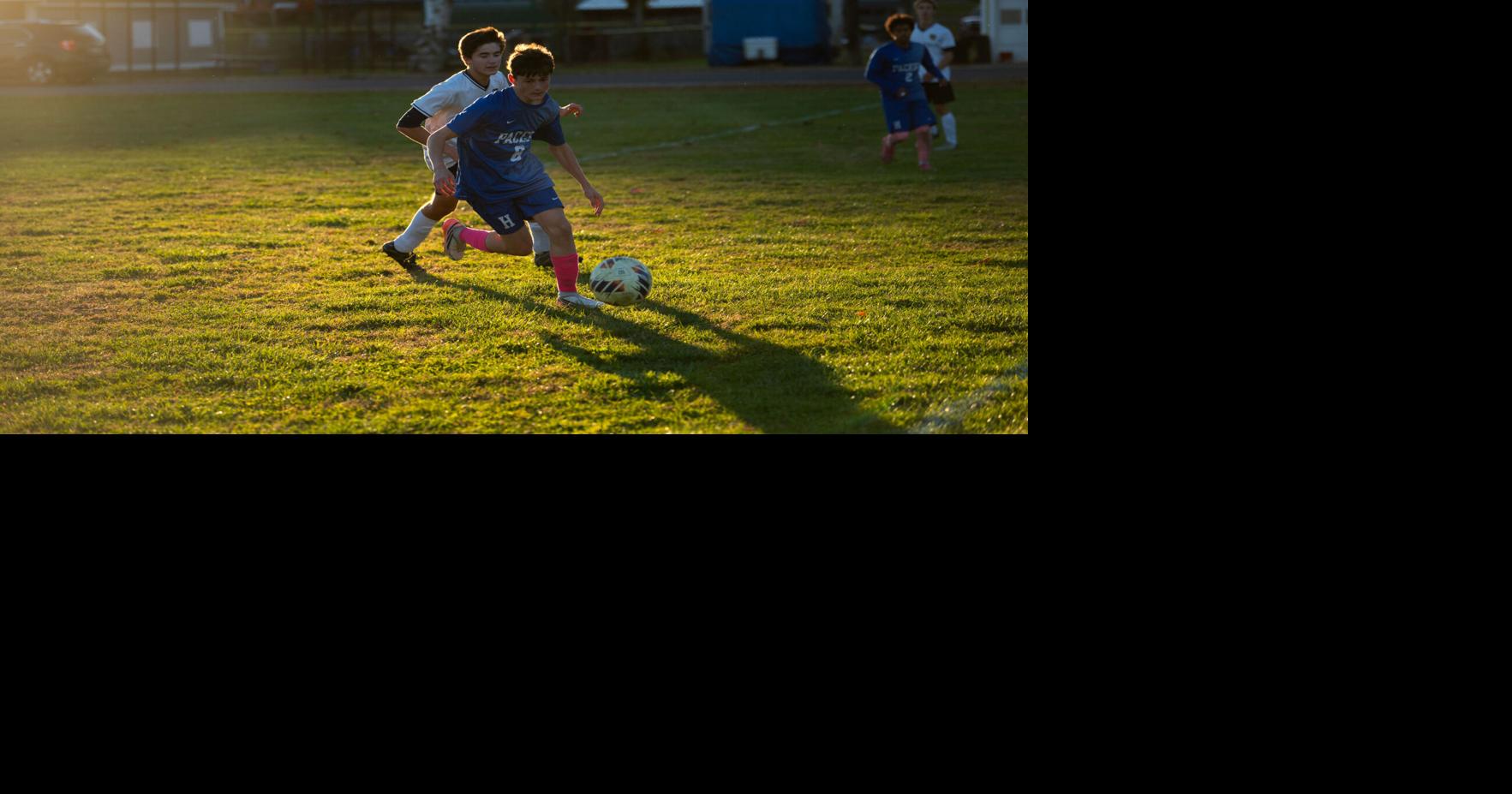 Photos: Hinsdale boys, girls soccer split with Holy Family