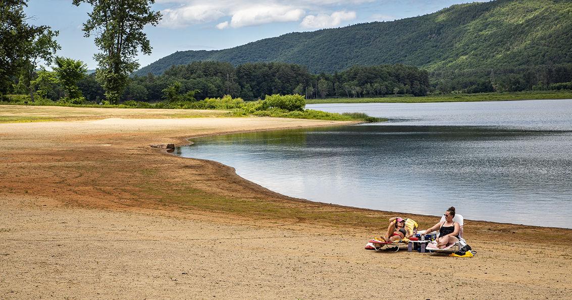 Local beach unsafe for swimming, bacteria test shows