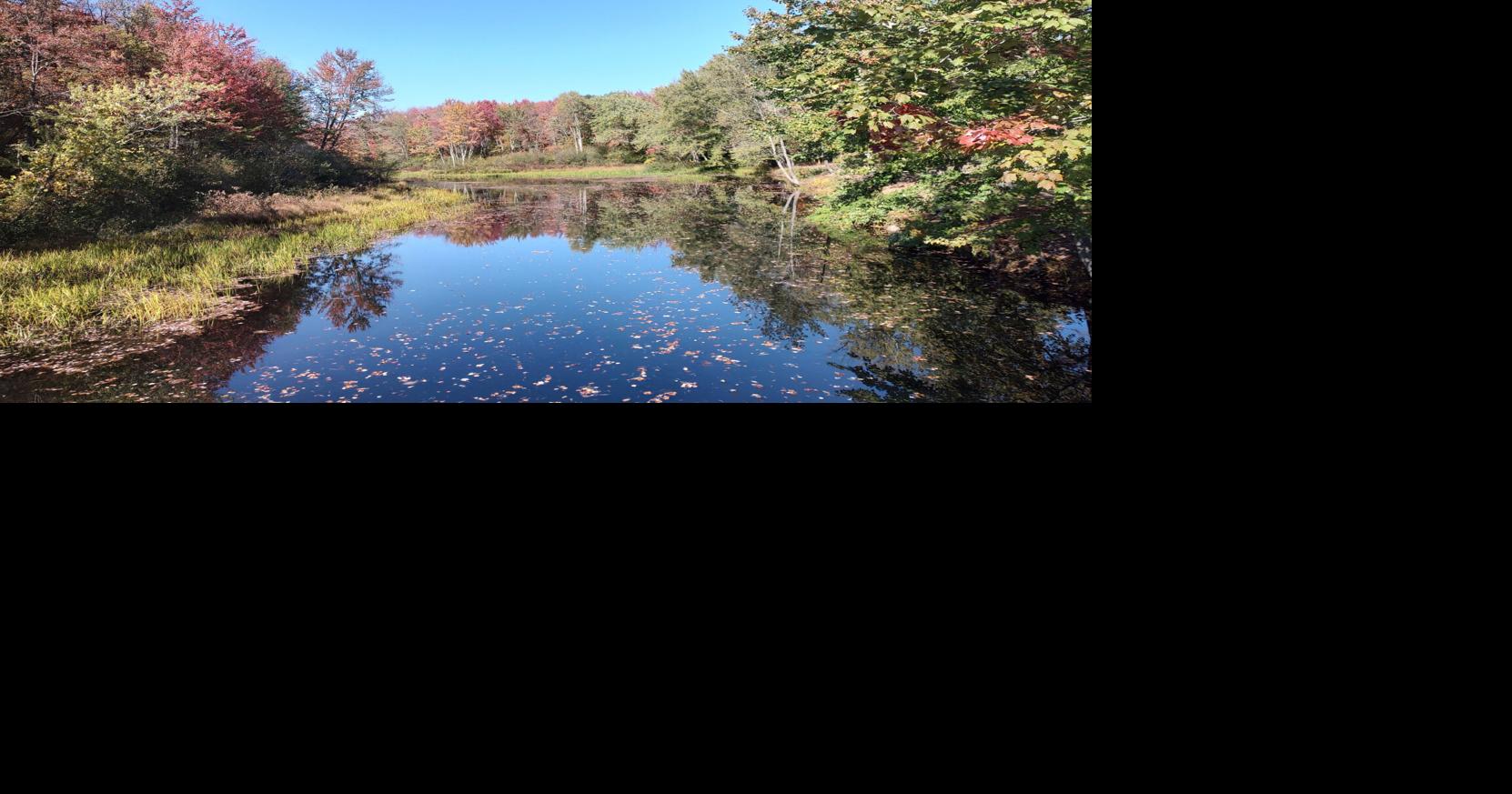 Local trails for spring walks in Keene | Local News | keenesentinel.com