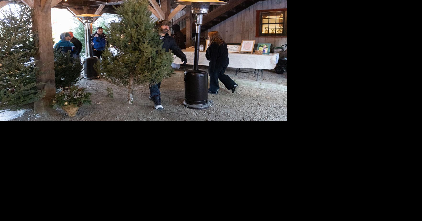Despite drought, Christmas tree growers report solid season | Local ...