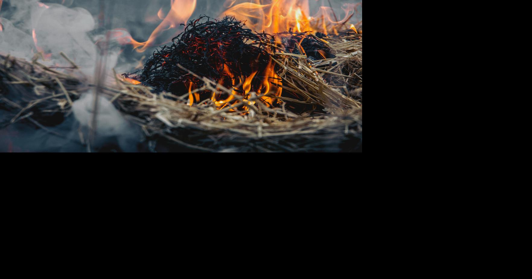 How to reduce wildfire risk this spring